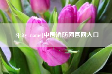 雅安中国消防网官网入口