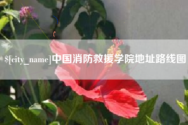 雅安中国消防救援学院地址路线图