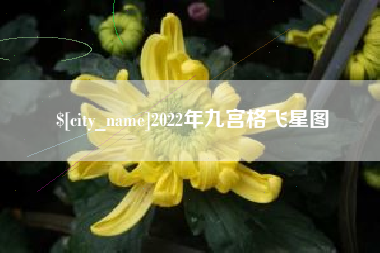 雅安2022年九宫格飞星图