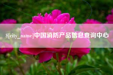 雅安中国消防产品信息查询中心