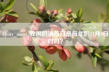 雅安我国的消防日是每年的11月9日对吗？