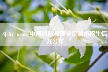 雅安中国消防救援学院湖南招生情况公布
