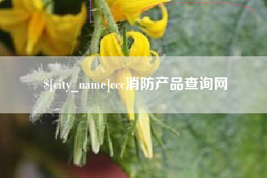 雅安ccc消防产品查询网