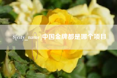雅安中国金牌都是哪个项目