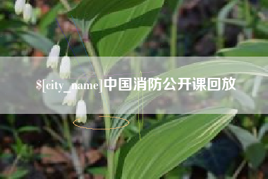 雅安中国消防公开课回放