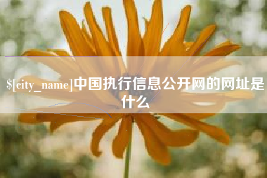 雅安中国执行信息公开网的网址是什么