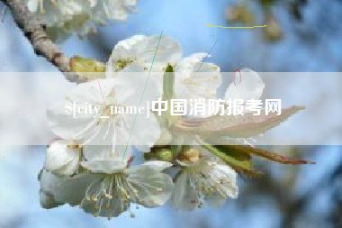雅安中国消防报考网
