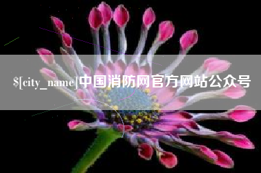 雅安中国消防网官方网站公众号