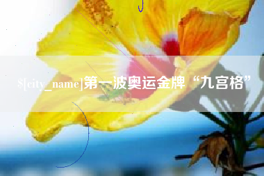 雅安第一波奥运金牌“九宫格”