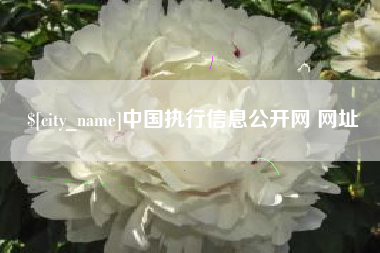 雅安中国执行信息公开网 网址