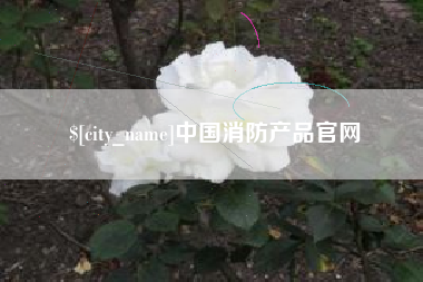 雅安中国消防产品官网