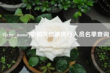 雅安中国失信被执行人员名单查询
