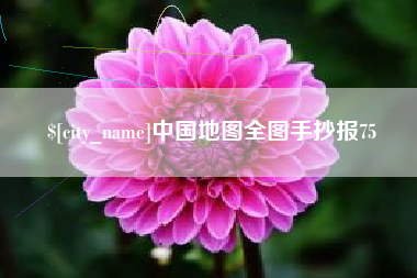 雅安中国地图全图手抄报75