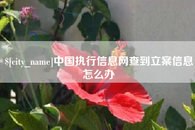 雅安中国执行信息网查到立案信息怎么办