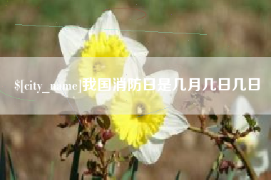 雅安我国消防日是几月几日几日