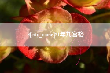雅安21年九宫格