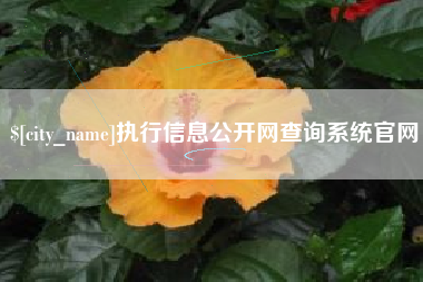 雅安执行信息公开网查询系统官网