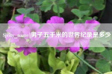 雅安男子五千米的世界纪录是多少