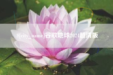 雅安谷歌地球2024超清版
