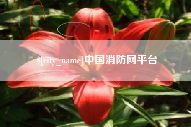 雅安中国消防网平台