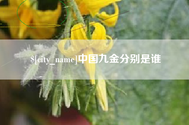 雅安中国九金分别是谁