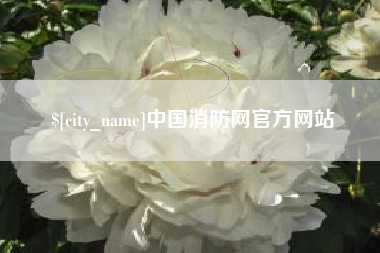 雅安中国消防网官方网站