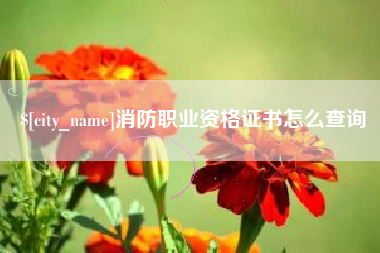 雅安消防职业资格证书怎么查询
