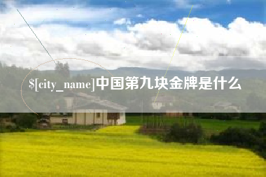 雅安中国第九块金牌是什么