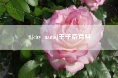 雅安王子豪百科