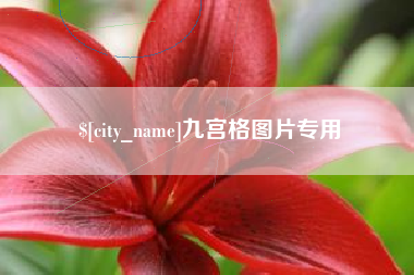 雅安九宫格图片专用