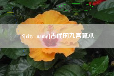 雅安古代的九宫算术