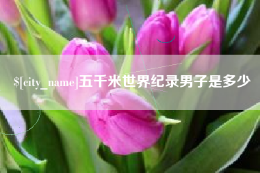 雅安五千米世界纪录男子是多少