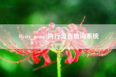 雅安执行公告查询系统