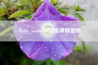 雅安中国金牌都是啥