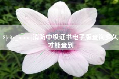 雅安消防中级证书电子版查询多久才能查到