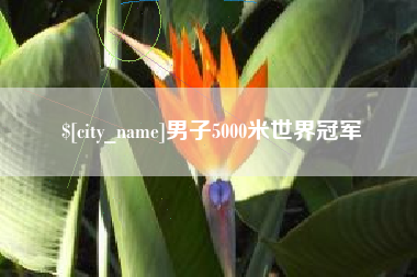 雅安男子5000米世界冠军