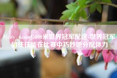 雅安5000米世界冠军配速-世界冠军们往往能在比赛中巧妙地分配体力