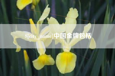 雅安中国金牌包括