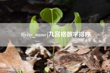 雅安九宫格数字排序