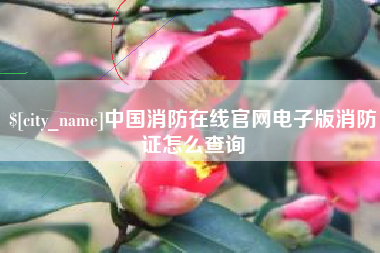 雅安中国消防在线官网电子版消防证怎么查询