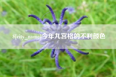 雅安今年九宫格的不利颜色