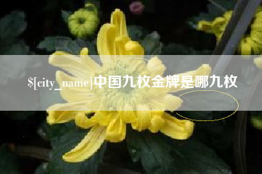 雅安中国九枚金牌是哪九枚