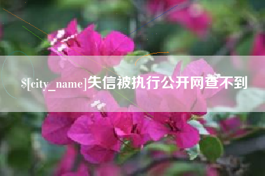 雅安失信被执行公开网查不到