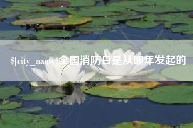 雅安全国消防日是从哪年发起的