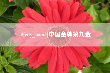 雅安中国金牌第九金