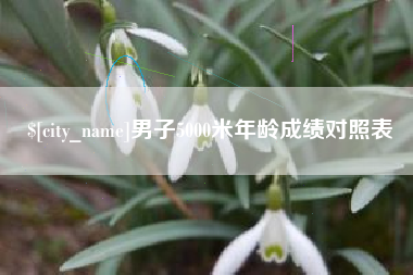 雅安男子5000米年龄成绩对照表