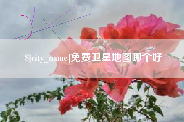 雅安免费卫星地图哪个好