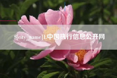 雅安1.中国执行信息公开网