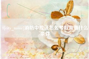 雅安消防中控证怎么考取需要什么条件