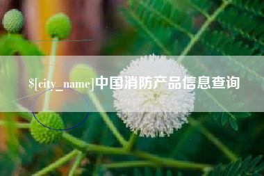 雅安中国消防产品信息查询
